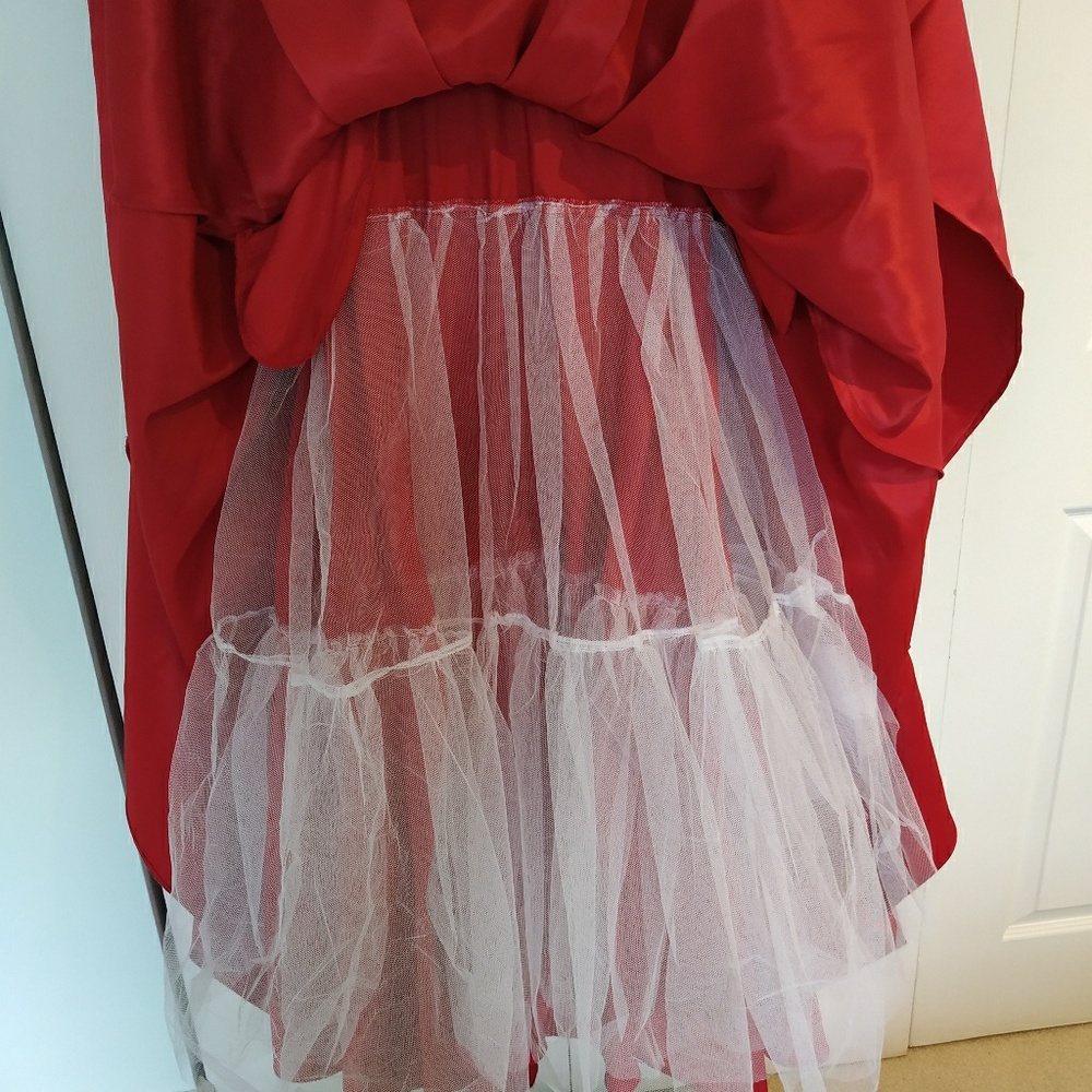 ❤️✨STUNNING Blondie Nites Prom Dress✨❤️ - Picture 4 of 8